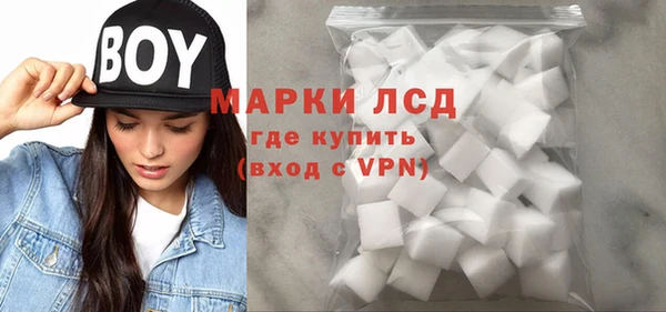 стафф Богданович