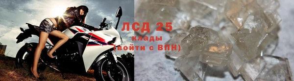 стафф Богданович