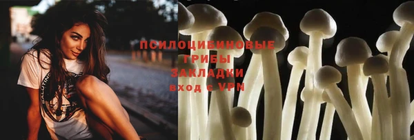 стафф Богданович