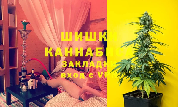 стафф Богданович